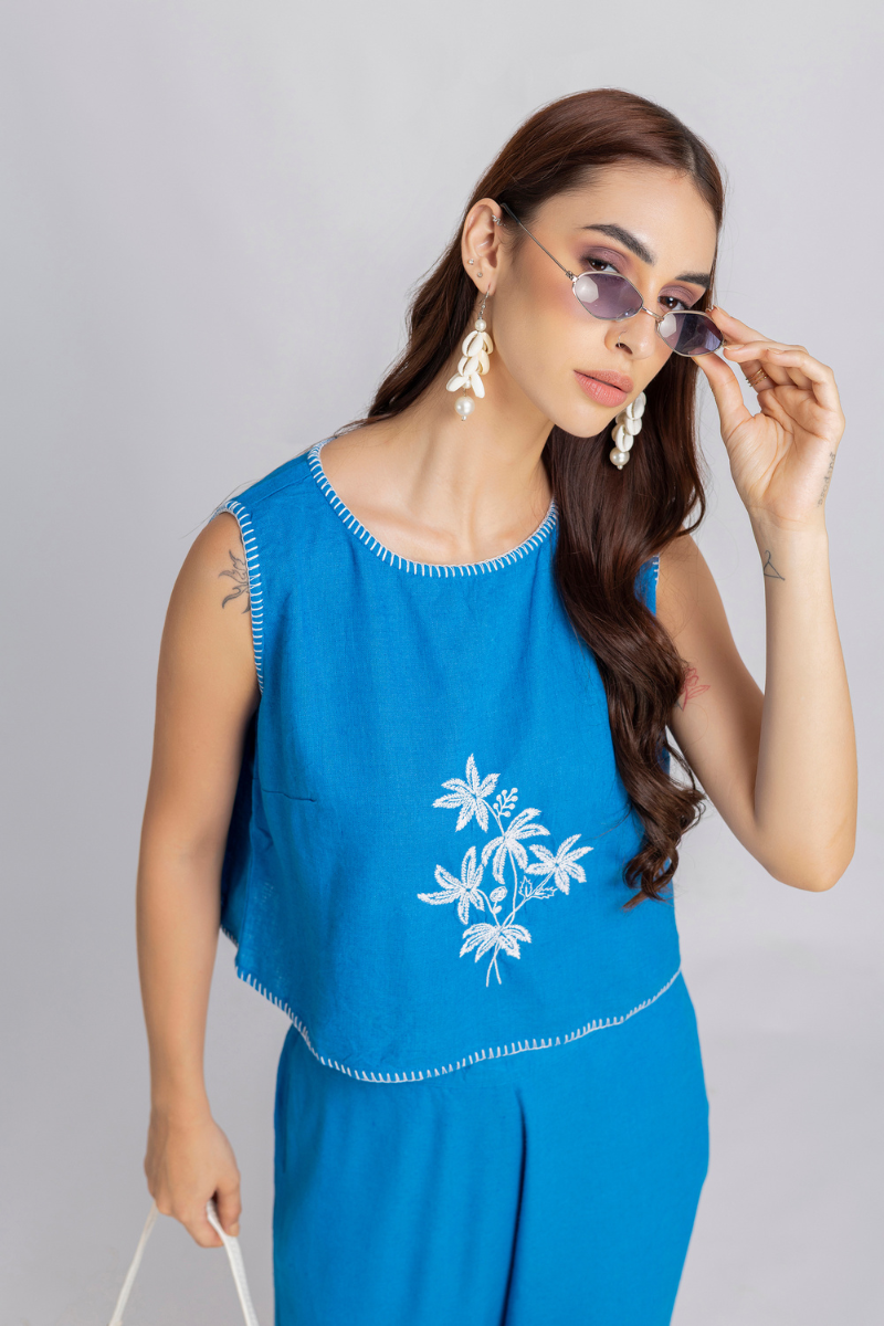 Blue Embroidered Pants and Top