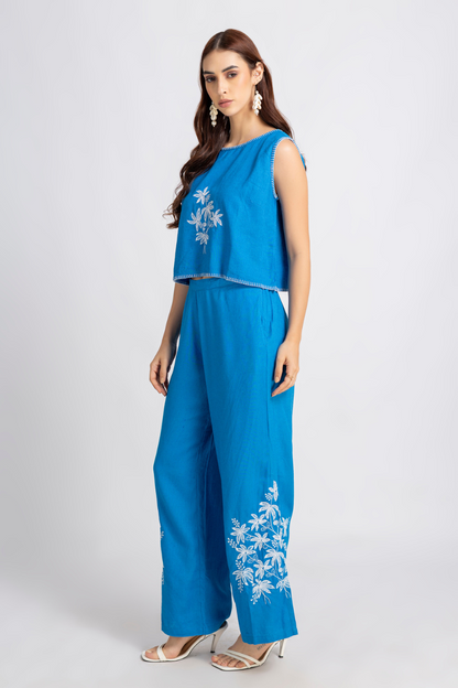 Blue Embroidered Pants and Top