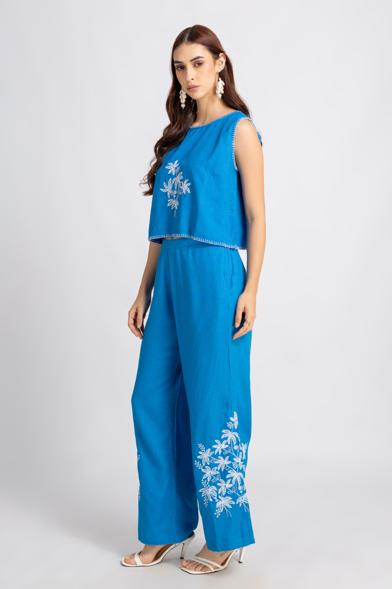 Blue Embroidered Pants and Top