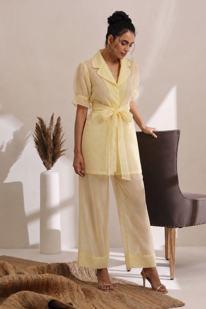 Butter Veil Organza Co-ord Set