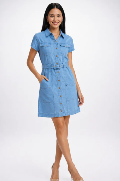 Skyline Denim Dress